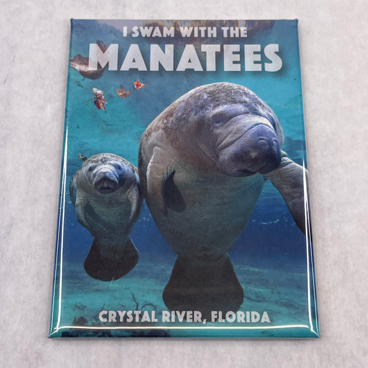 I Swam with Manatees Picture Magnet