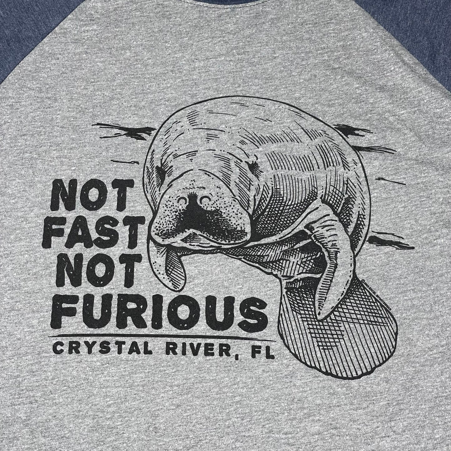 Not Fast Not Furious Manatee T Shirt